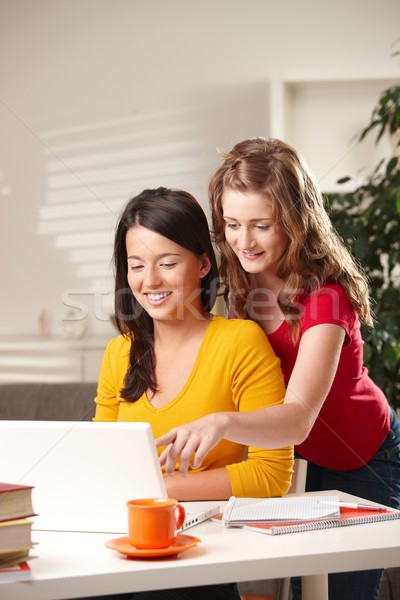 Foto stock: Sonriendo · colegialas · mirando · Screen · portátil · nina