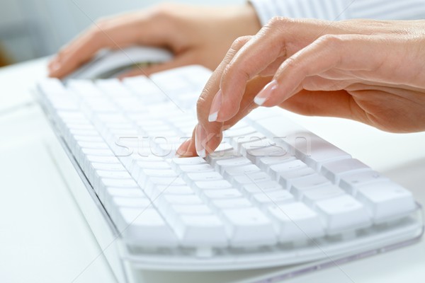 Female hand typing Stock photo © nyul