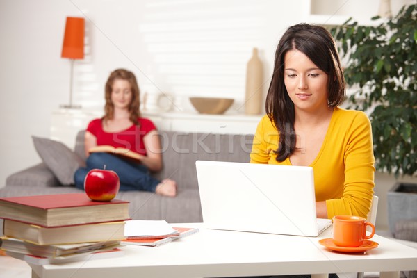 Teen studenţi învăţare acasă folosind laptop calculator Imagine de stoc © nyul