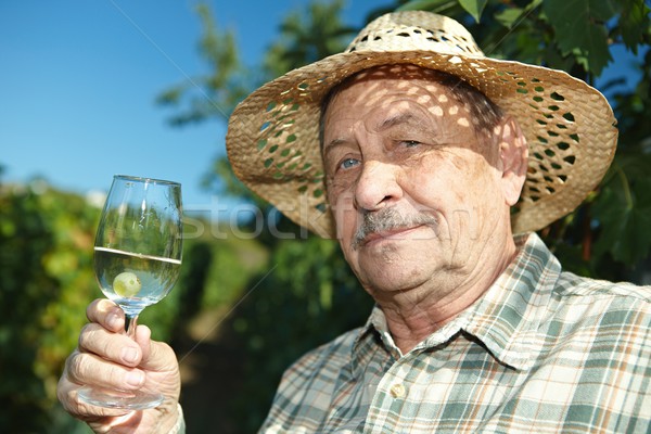 Senior proeverij wijn buitenshuis voedsel gezicht Stockfoto © nyul