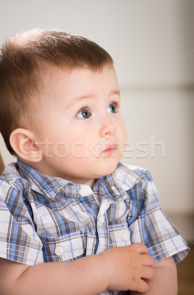 [[stock_photo]]: Portrait · bébé · garçon · cute · maison