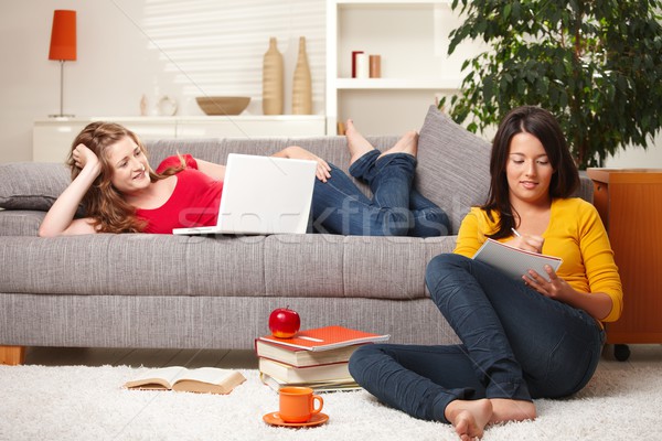 Stock photo: Schoolgirls learning at home