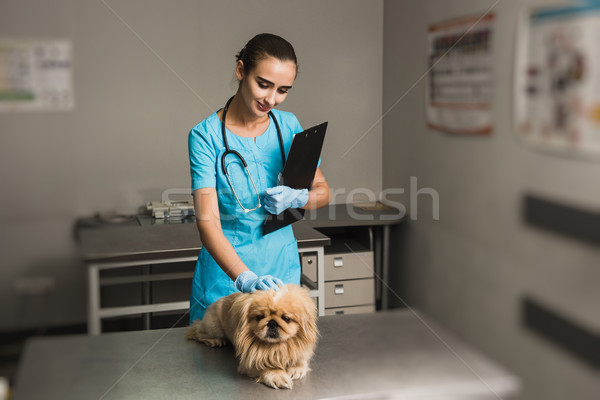Veterinarian with stethoscope checking up dog Stock photo © O_Lypa