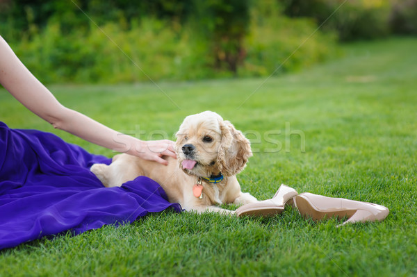Girl stroking a dog. Stock photo © O_Lypa