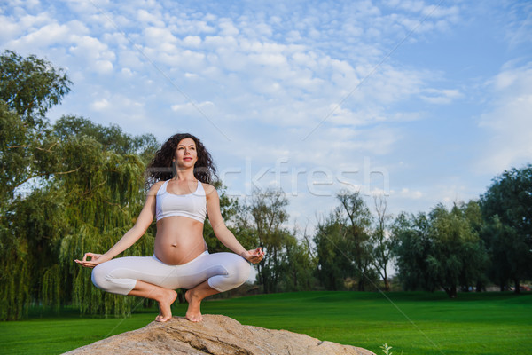 Stockfoto: Zwangere · vrouw · meditatie · pose · steen · gras · park