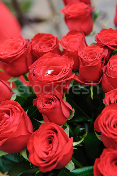 Anel de casamento rosebud anel de diamante rosa vermelha broto buquê Foto stock © O_Lypa
