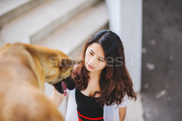 Chinese girl stroking a dog Stock photo © O_Lypa