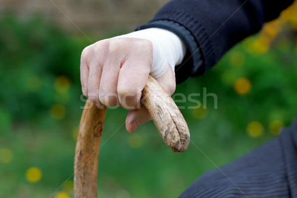 Faltig Hände halten Zuckerrohr Hand Stock foto © ocskaymark