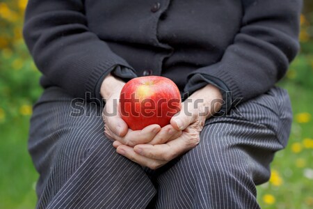 Ráncos kezek közelkép tart alma kéz Stock fotó © ocskaymark