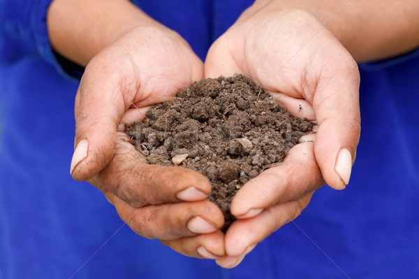 [[stock_photo]]: Sol · Homme · main · Palm · printemps