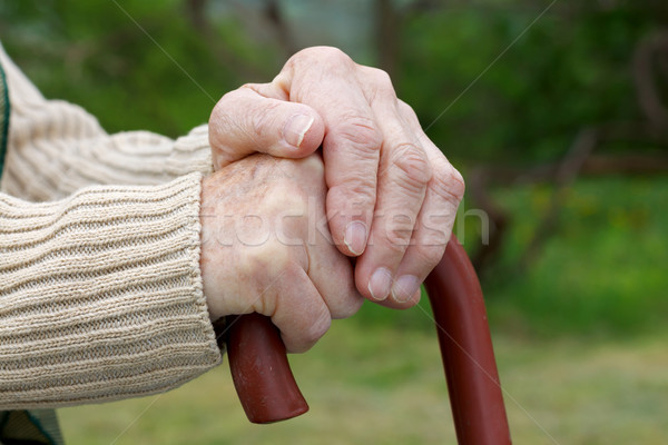 Wrinkled hands Stock photo © ocskaymark