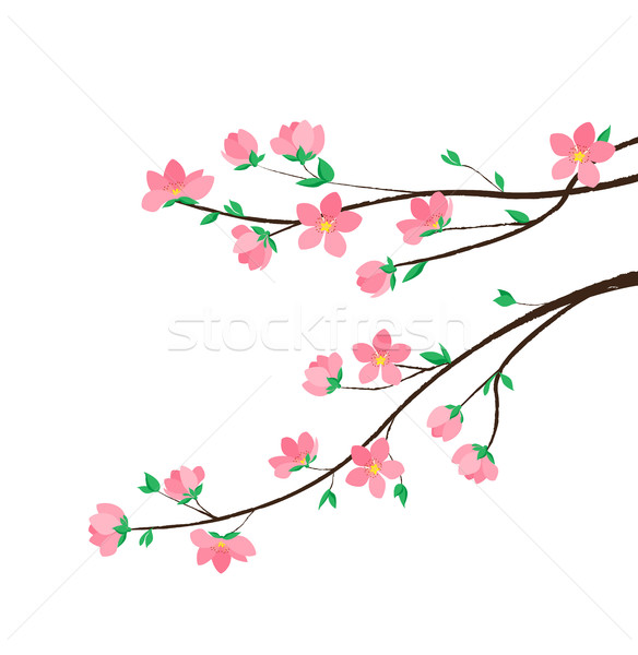 Stockfoto: Bloemen · vector · decoratie · voorjaar · bloesem