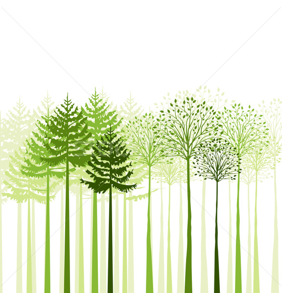 Vector mixed forest Stock photo © odina222