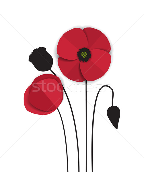 Foto stock: Vermelho · papoula · vetor · romântico · flores · grama