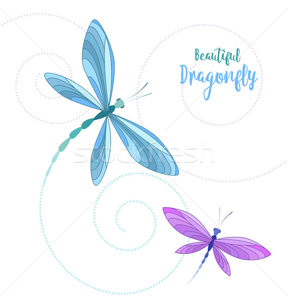 Lotu wektora Dragonfly biały kolorowy streszczenie Zdjęcia stock © odina222