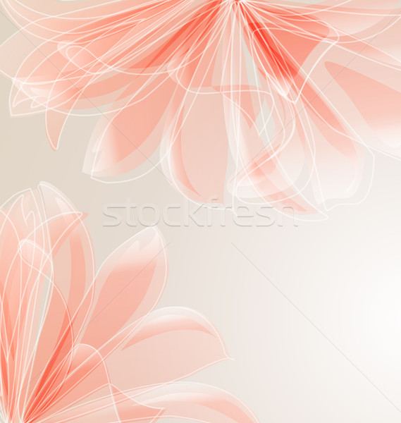Floral résumé lieu texte mariage nature Photo stock © odina222