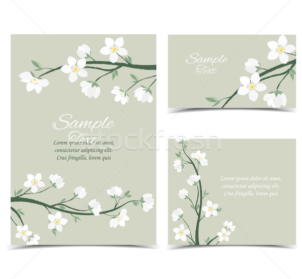 [[stock_photo]]: Vecteur · printemps · fleur · décoratif