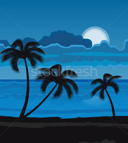Noite verão praia palmeiras paisagem lua Foto stock © odina222