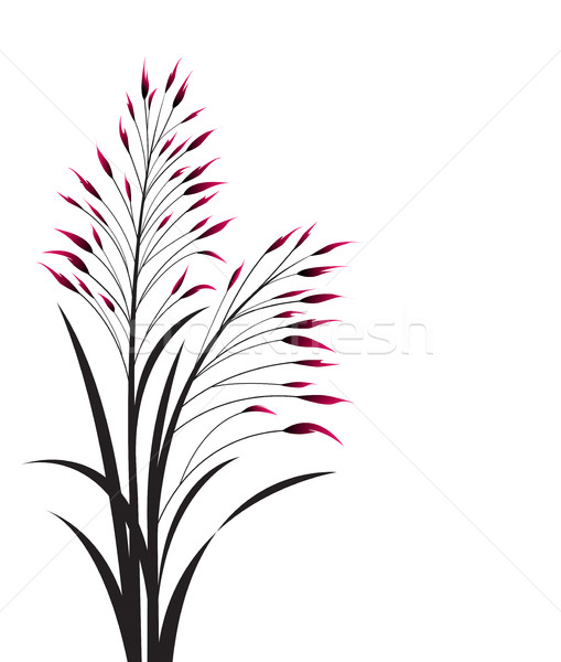 商业照片: 向量 ·草·白· 抽象 · 草地