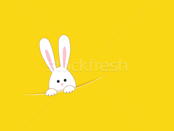 Wielkanoc żółty biały królik szczęśliwy bunny Zdjęcia stock © odina222
