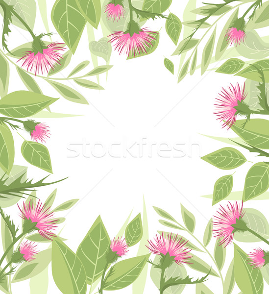 Thistle with green leaves Stock photo © odina222