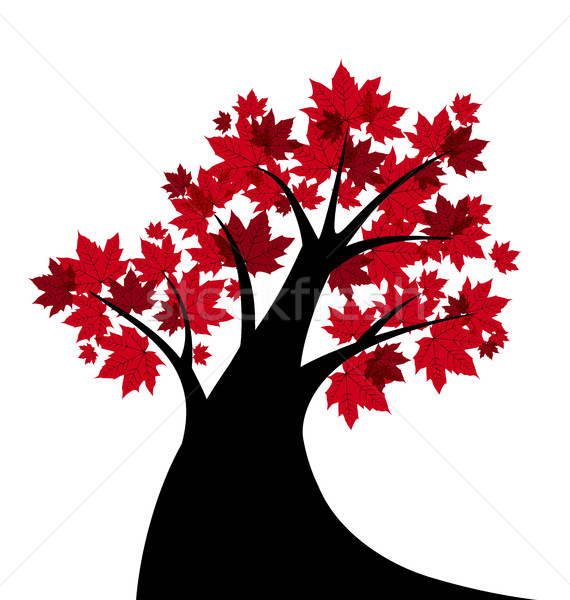 Vector maple tree Stock photo © odina222