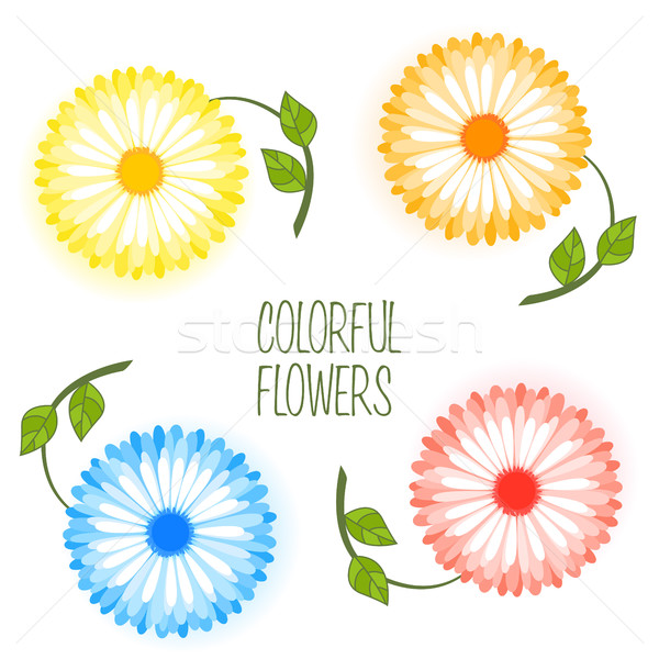 Set colorat floare vector floare insignă flori Imagine de stoc © odina222