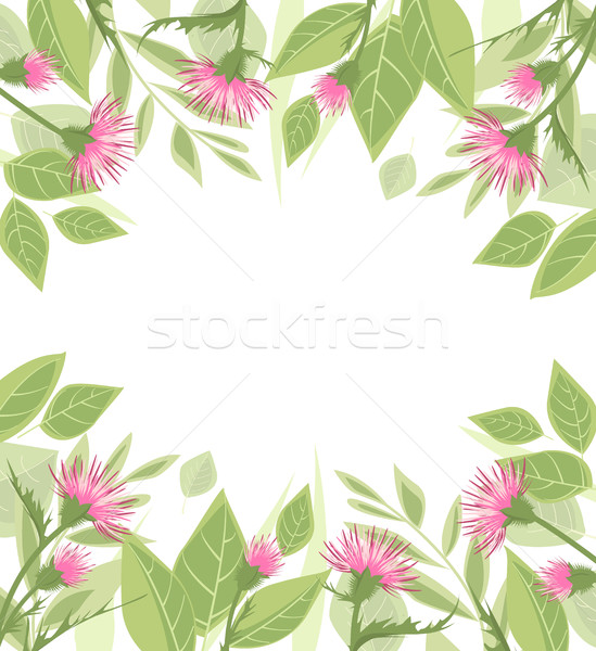 Thistle with green leaves Stock photo © odina222