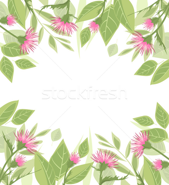 Thistle with green leaves Stock photo © odina222