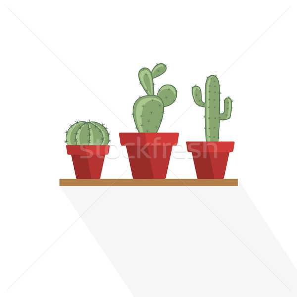 Stock photo: Cactus in a flower pot