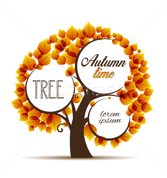 Vector autumn tree Stock photo © odina222