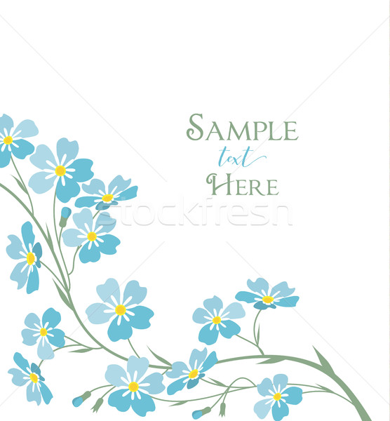 Vector blue forget me not flowers Stock photo © odina222