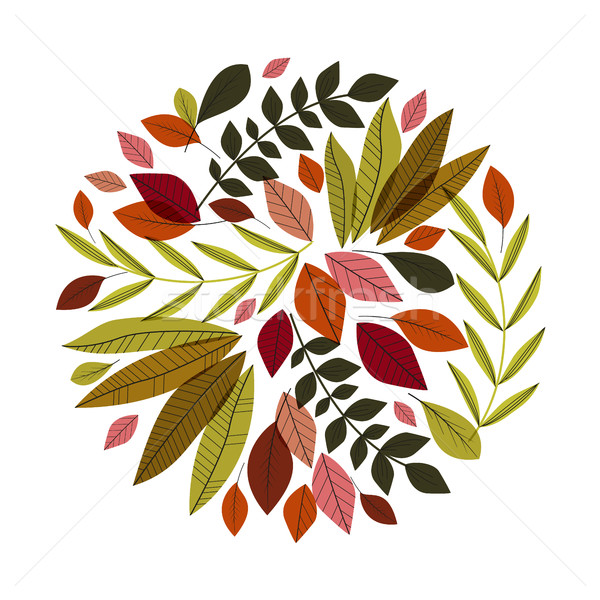 Foto d'archivio: Decorazione · colorato · foglie · foresta · design