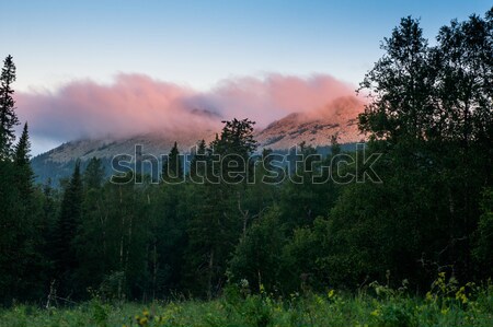 distant mountains rise above the wild forest Stock photo © oei1