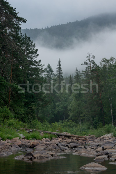 Foto stock: Rápido · montanha · rio · pedras · paisagem