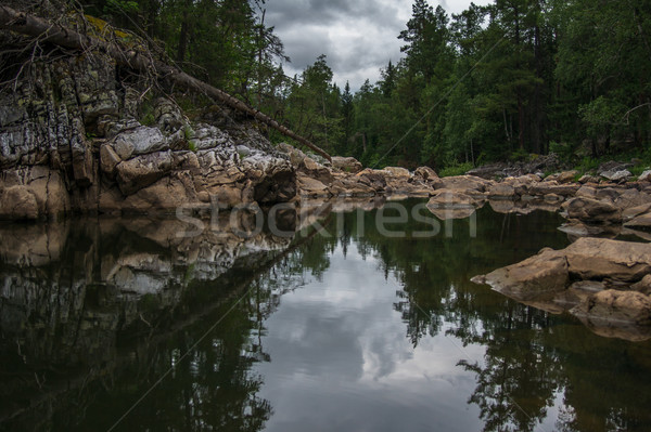 Paisaje fauna forestales montana río cielo Foto stock © oei1