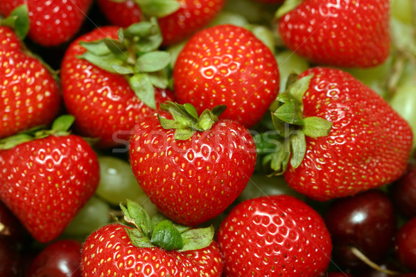 Eper termény piros érett közelkép csoport Stock fotó © offscreen