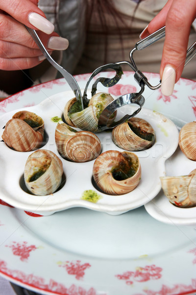 Vorbereitet Koch Restaurant Mittagessen Schnecke Makro Stock foto © offscreen