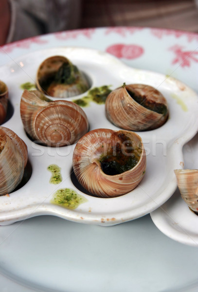 Vorbereitet Koch Restaurant Mittagessen Schnecke Makro Stock foto © offscreen