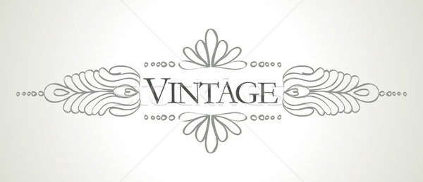 Vector vintage frame ontwerp papier abstract Stockfoto © ojal