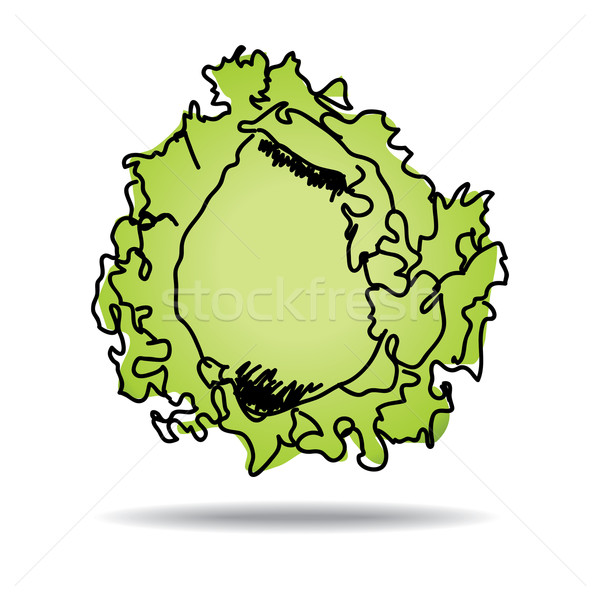 Rajz jéghegy saláta ikon vektor eps Stock fotó © ojal