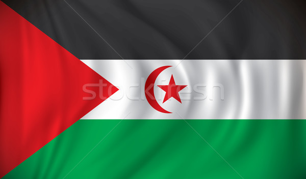 Bandiera occidentale sahara mappa luna star Foto d'archivio © ojal
