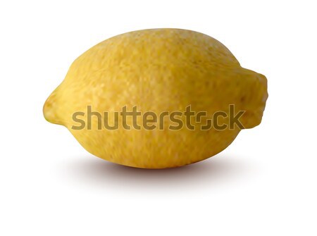 vector illustration of lemon Stock photo © ojal
