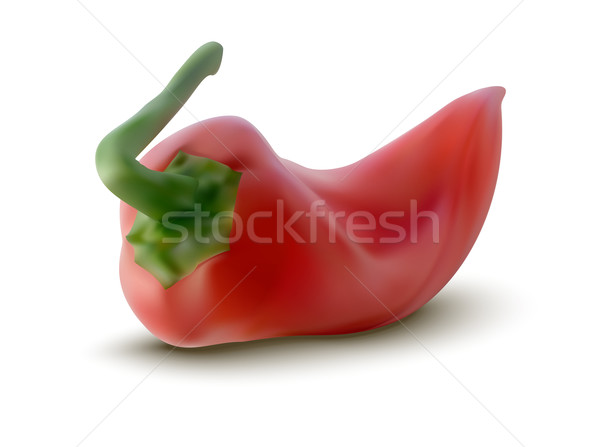 vector red pepper Stock photo © ojal