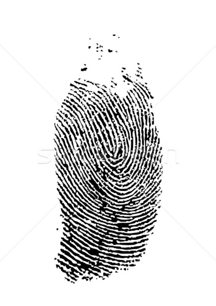 fingerprint Stock photo © ojal