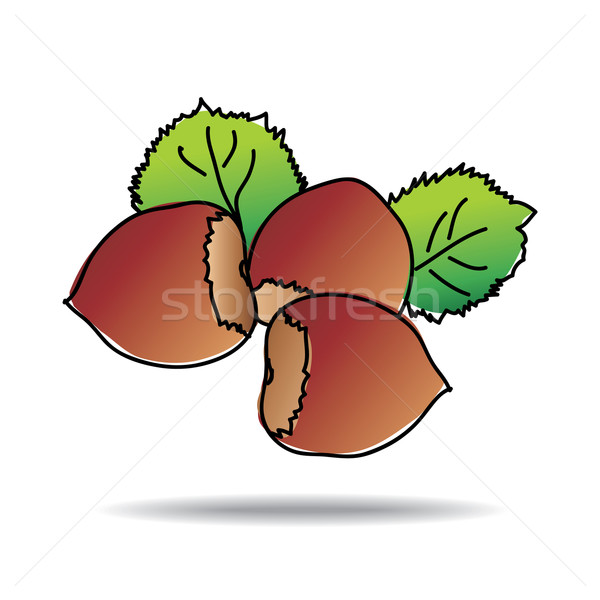 Freehand drawing nut icon Stock photo © ojal