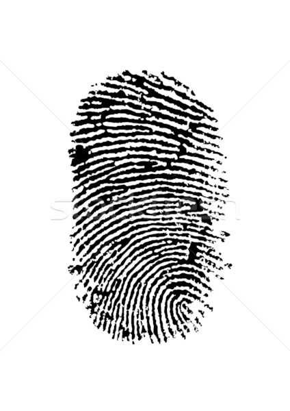 fingerprint Stock photo © ojal