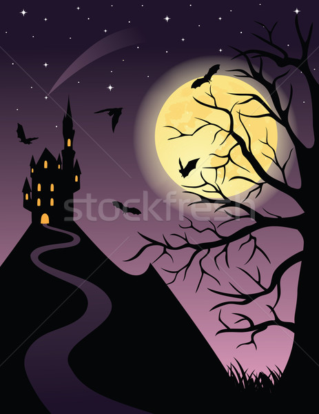 Kasteel volle maan vliegen silhouet berg gras Stockfoto © oksanika