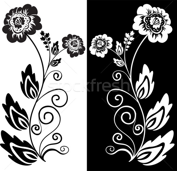 [[stock_photo]]: Blanc · noir · fleur · deux · texture · fond