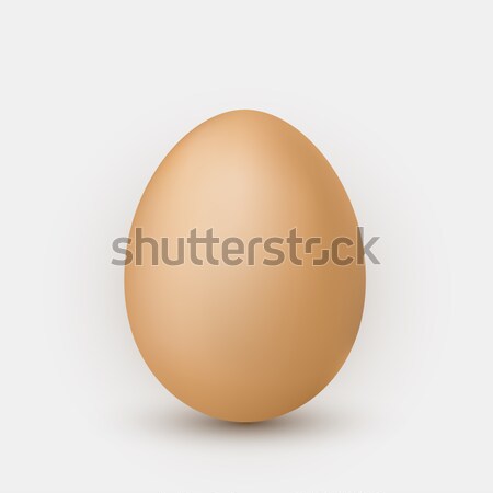 Realistic brown egg with shadow on white background Stock photo © olehsvetiukha